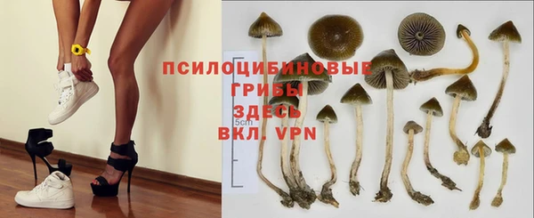 apvp Сафоново