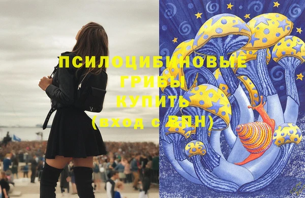 не бодяженный Богданович