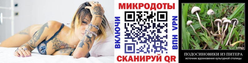 Псилоцибиновые грибы Psilocybine cubensis omg сайт Белый